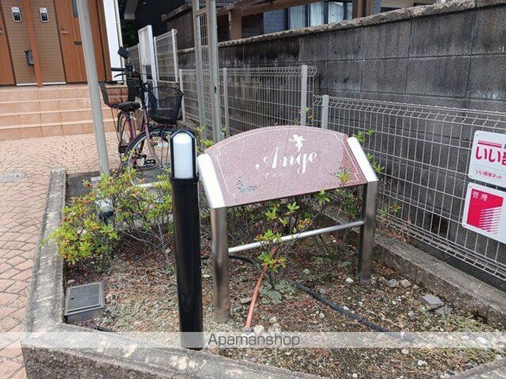 アンジュのその他画像