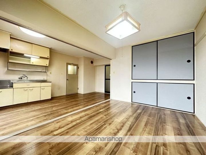 メゾン・ド・シャモニー207の内装