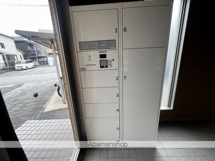 ウッドソレルのその他画像