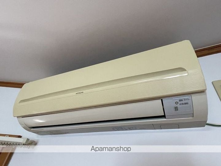 杏(アプリコット)のその他画像