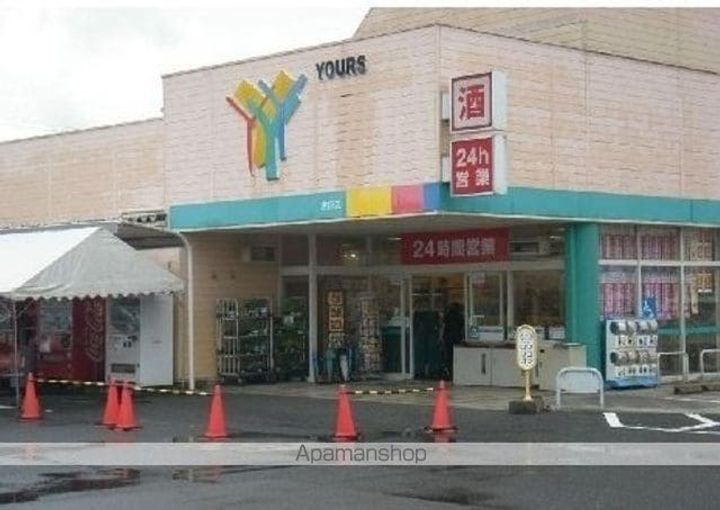 サクラの周辺