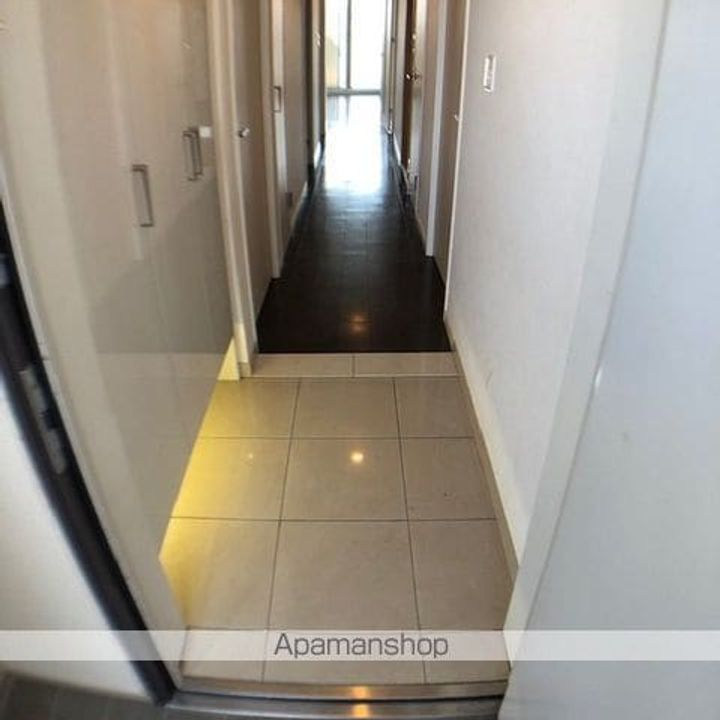 滋賀県守山市梅田町の賃貸マンションの内装