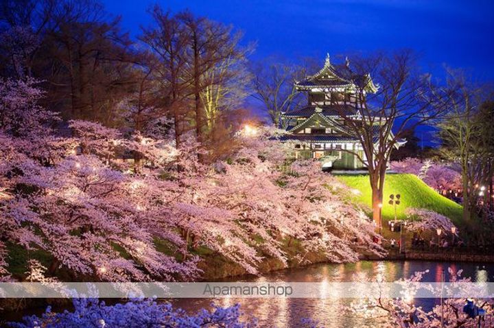 ハイツクローバー202の周辺