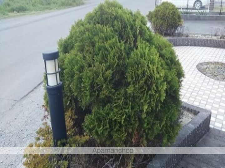 レオパレステラス花みずきのその他画像