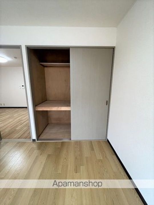 プルメリアイズシのその他画像