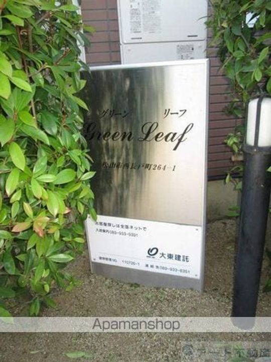 グリーンリーフのその他画像