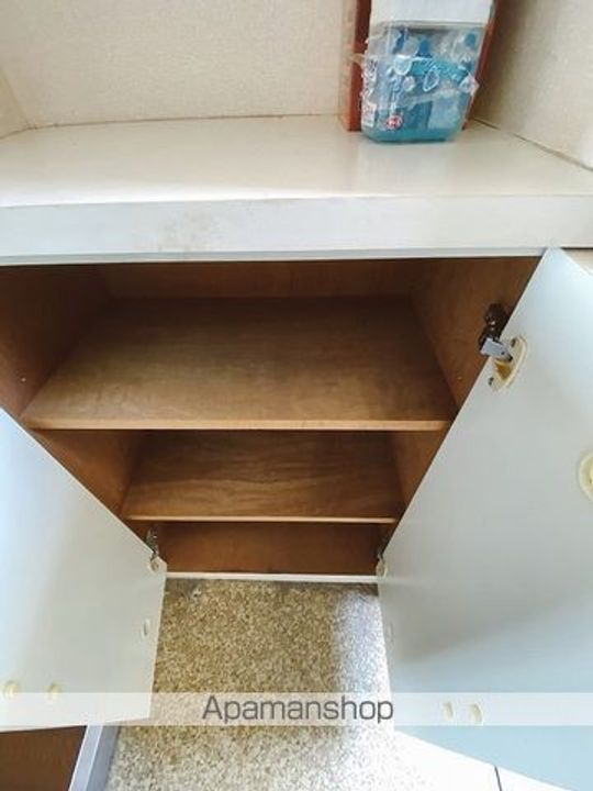 埼玉県三郷市三郷1丁目の賃貸マンションの内装