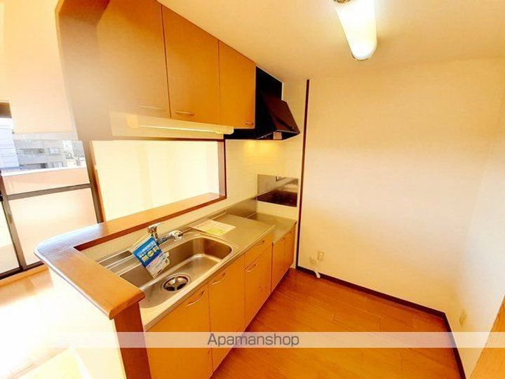 岐阜県本巣郡北方町柱本2丁目の賃貸マンションのキッチン