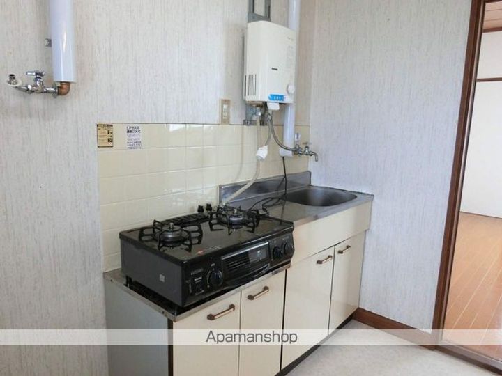 岩手県盛岡市緑が丘4丁目の賃貸アパートのキッチン