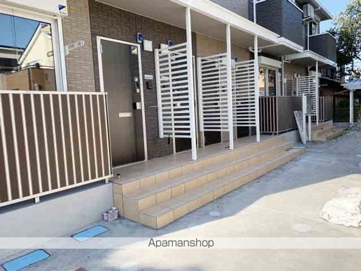 ブルーデイジーのその他画像