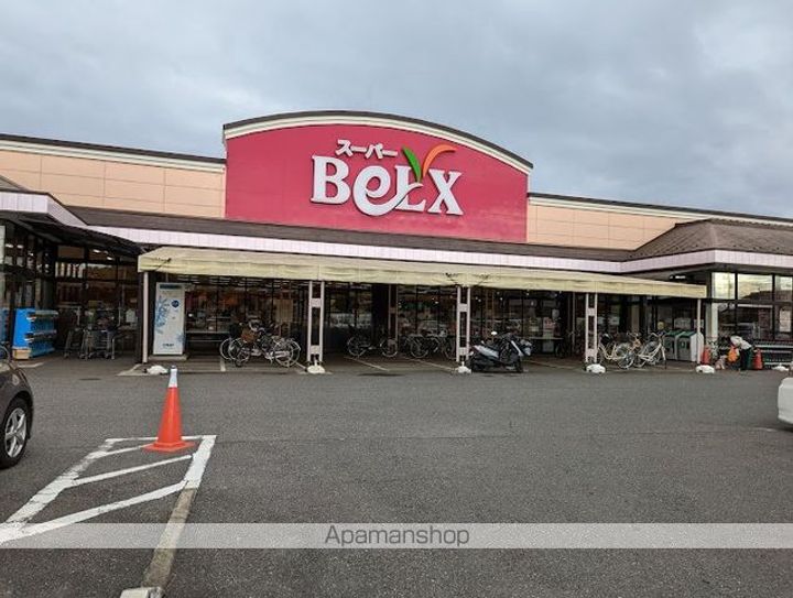 レオネクストパークハイツ Bの周辺