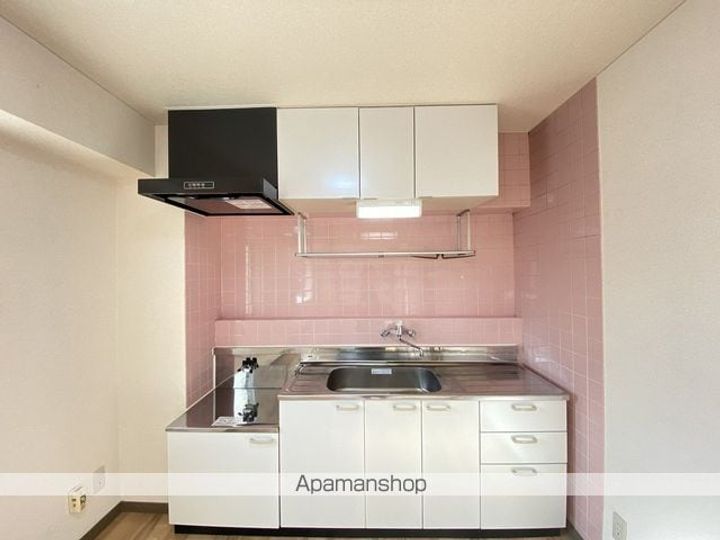 福井県福井市南四ツ居1丁目の賃貸マンション201のキッチン