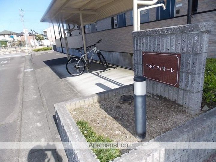 コモドフィオーレのその他画像