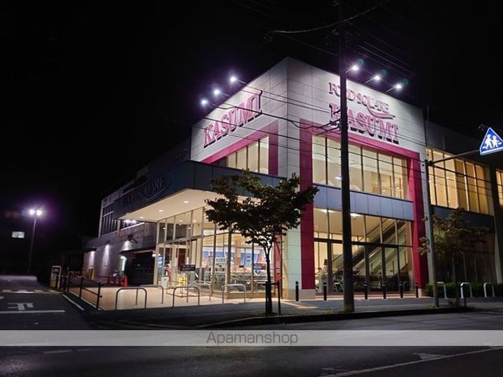 レオパレスレイクサイドの周辺