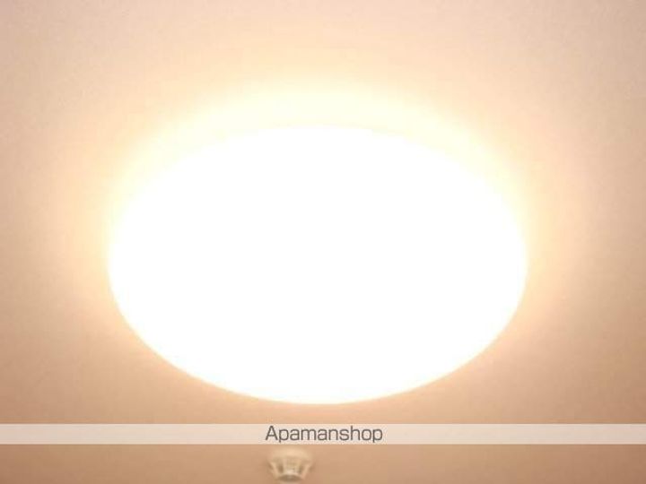 東京都あきる野市野辺の賃貸マンションのその他画像