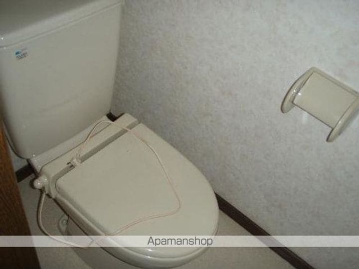 サンフラワーのその他画像