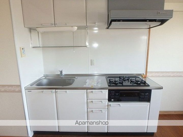 長野県松本市庄内1丁目の賃貸マンション313のキッチン