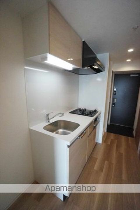 プレサンス太閤通駅前デュプルのキッチン