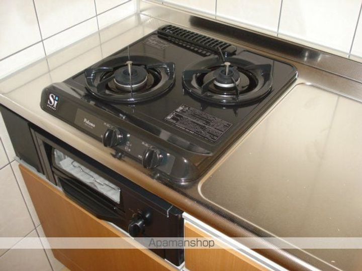 岐阜県岐阜市南蝉1丁目の賃貸アパートのキッチン