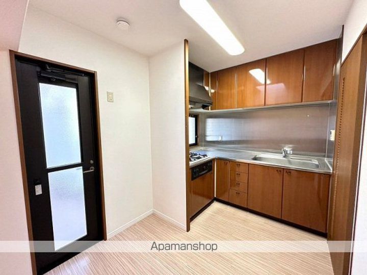 パロマヴィラ寺塚203号室のキッチン