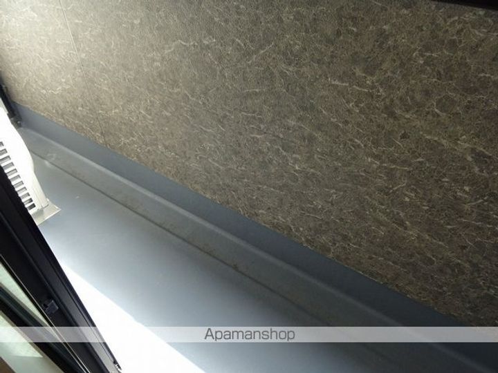 ドレスローザのその他画像