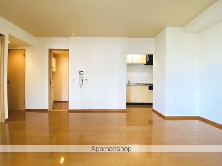 メゾンラフォーネ403の内装