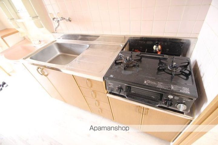 シューフルールⅤ306のキッチン