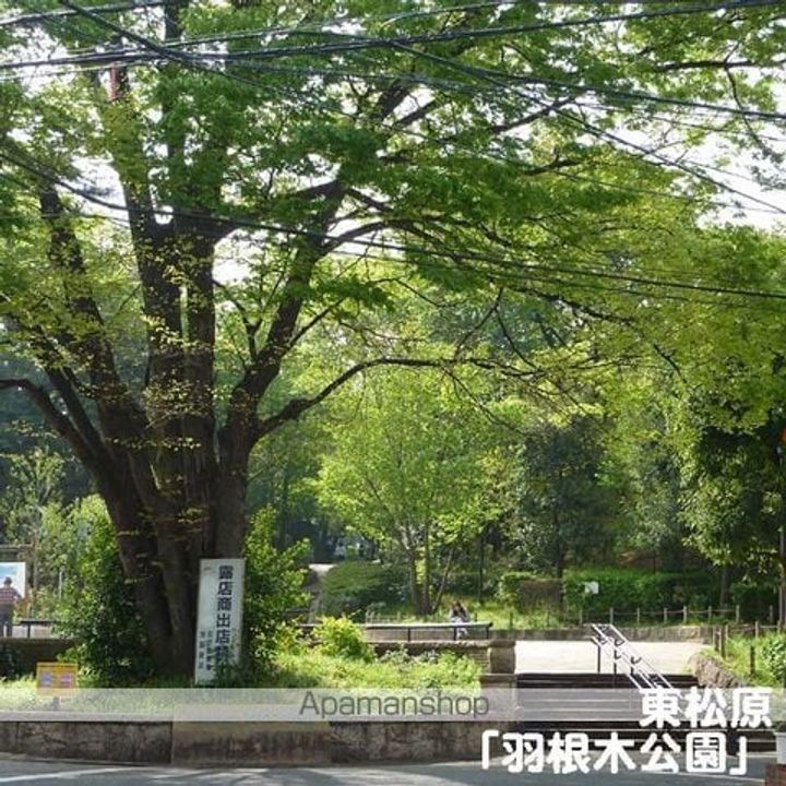 ミヤカーサ203の周辺