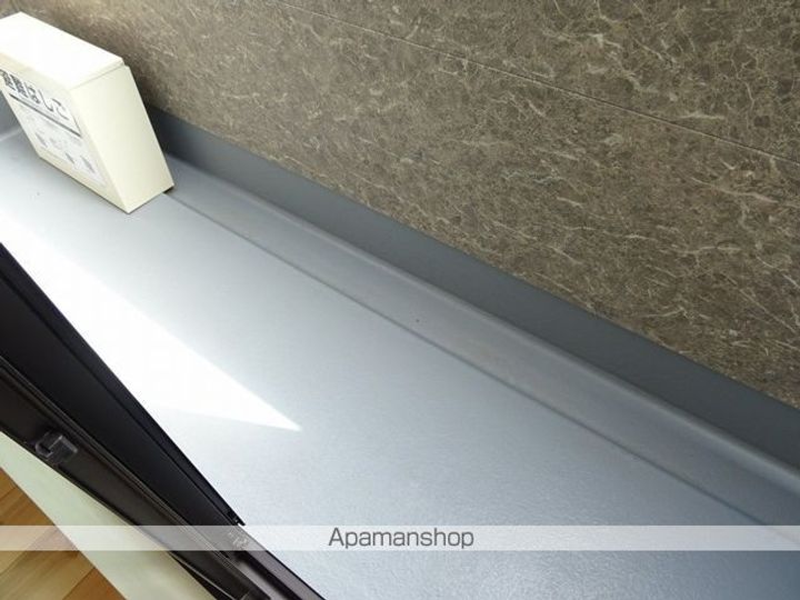 ドレスローザのその他画像