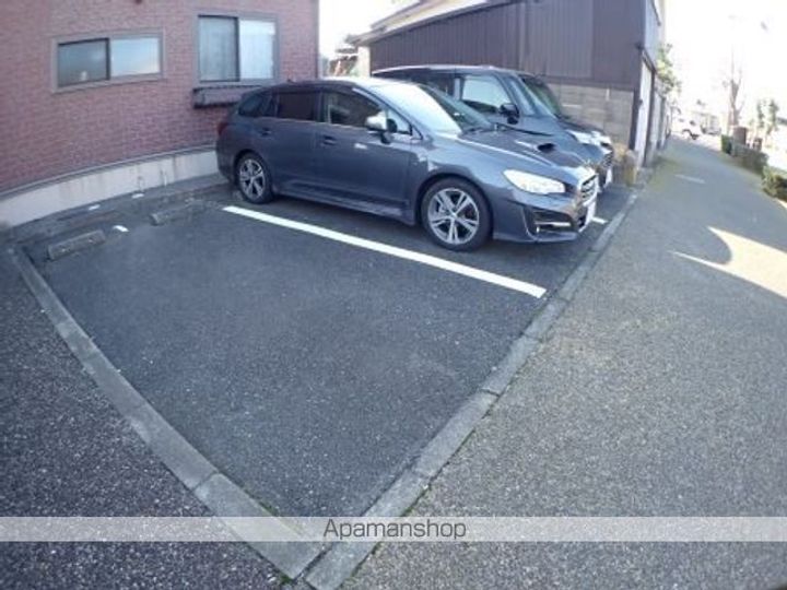 ドルフのその他画像