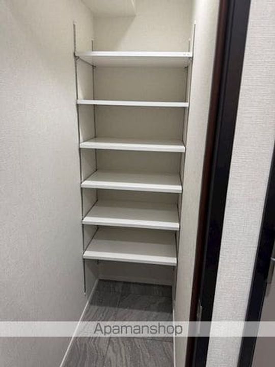 メインステージ板橋志村Ⅲ505号室のその他画像