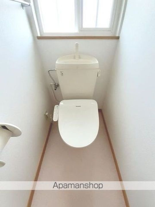 フクジュソウのその他画像