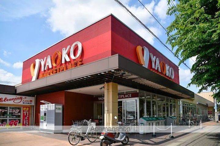 レオパレス新白岡の周辺