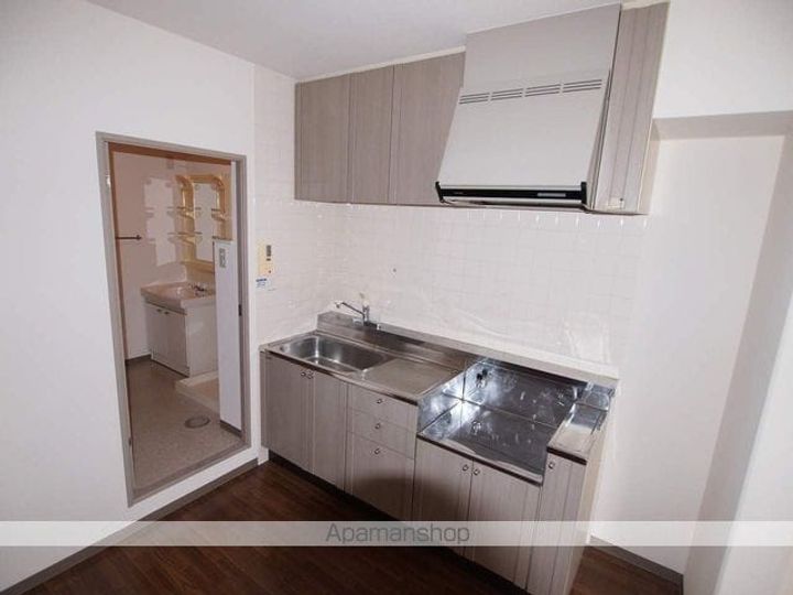 ミレニアムユウアイ203のキッチン