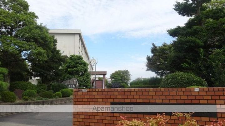 セジュール林の周辺
