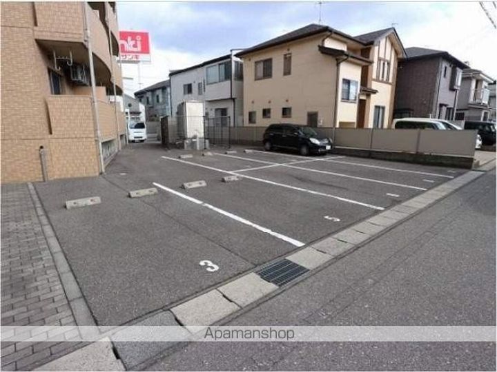 ウッドソレルのその他画像