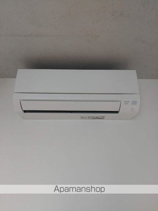 東京都中野区弥生町5丁目の賃貸マンションの内装
