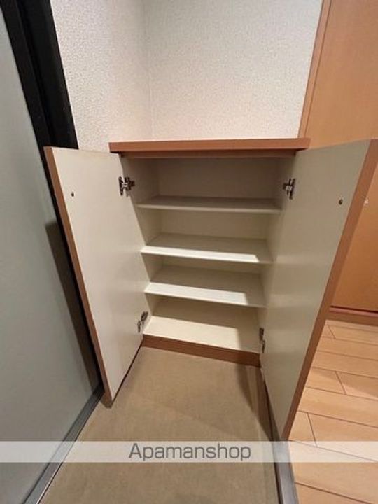 滋賀県大津市野郷原1丁目の賃貸マンションの内装