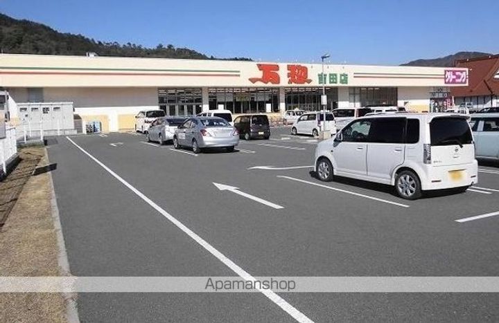 サクラの周辺