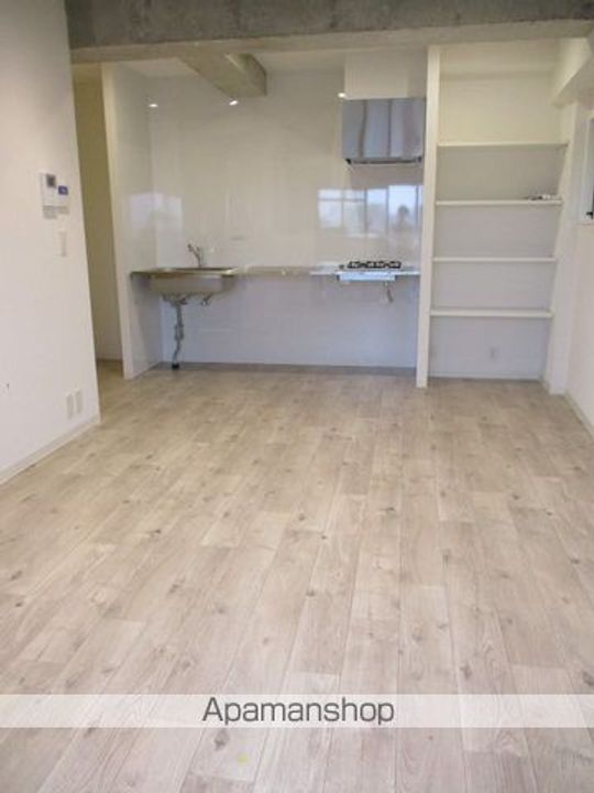 ミリアレジデンス高円寺501の内装