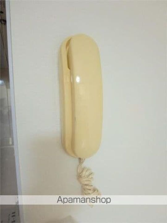 イトーハイツ沼袋1Bのその他画像