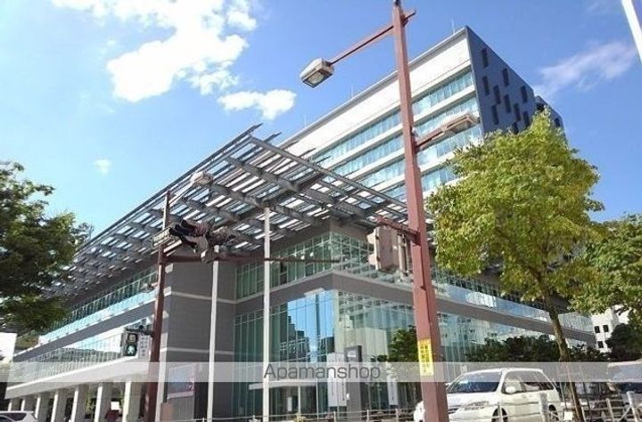 ウッド ウィルの周辺