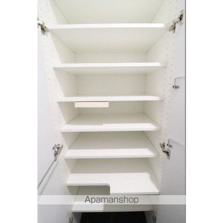 東京都練馬区中村3丁目の賃貸マンションの内装