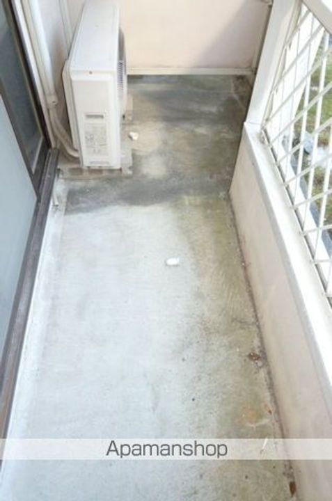 ルピナスのその他画像