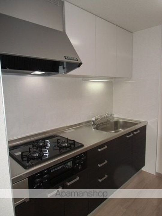 神奈川県川崎市宮前区犬蔵1丁目の賃貸マンションのキッチン