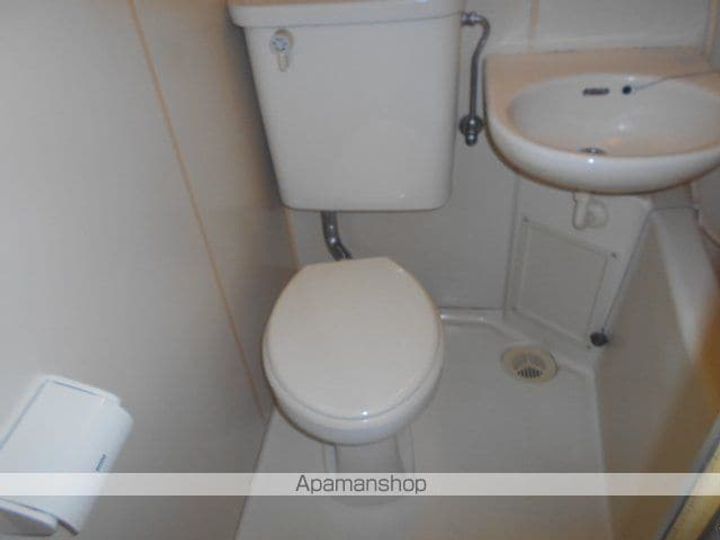 キャロルのその他画像