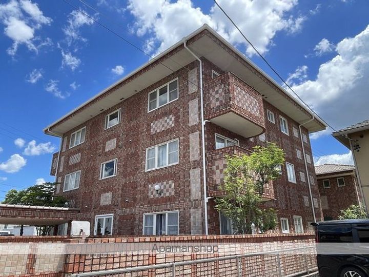 杏(アプリコット)の外観