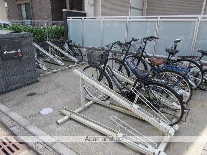 リブリ・キャメリア 桂のその他画像