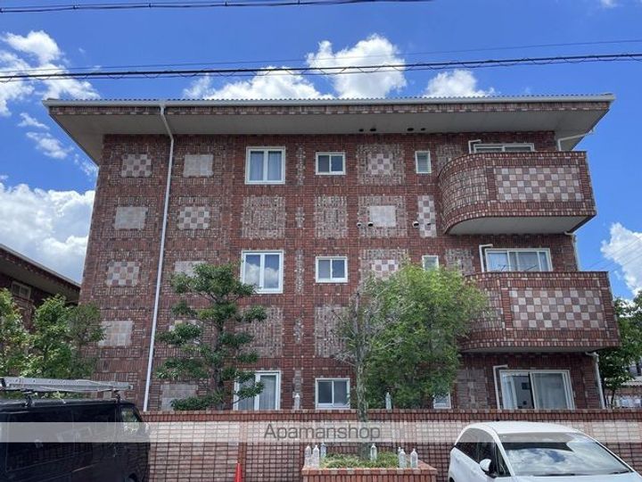 杏(アプリコット)の外観