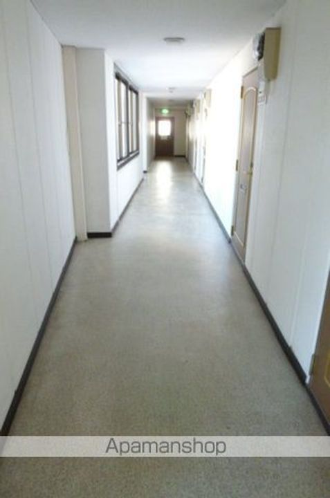 ルピナスのその他画像